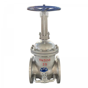 Cast steel gate valve with bypass valve, cast steel flange hard seal