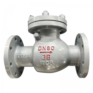 Carbon steel swing check valve with hard seal and one-way flap non-return function