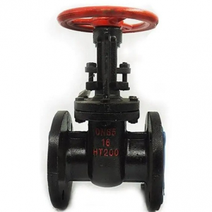 Lift  check  valve
